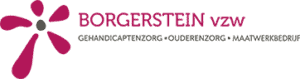 Borgerstein Logo